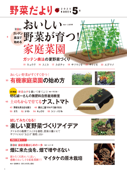 【書籍】野菜だより2025年5月初夏号(112505)