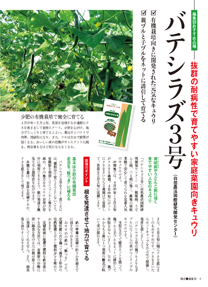 【書籍】野菜だより2025年5月初夏号(112505)