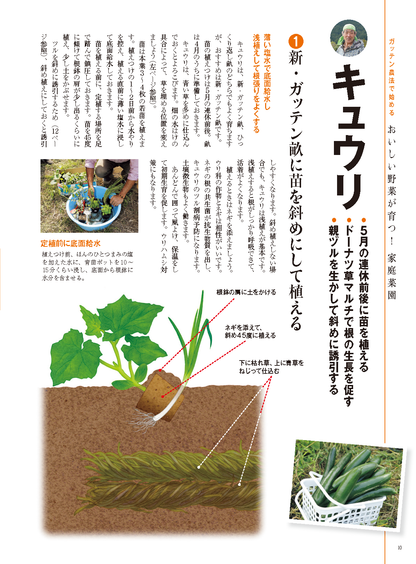 【書籍】野菜だより2025年5月初夏号(112505)