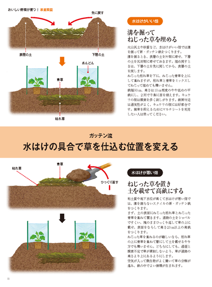 【書籍】野菜だより2025年5月初夏号(112505)