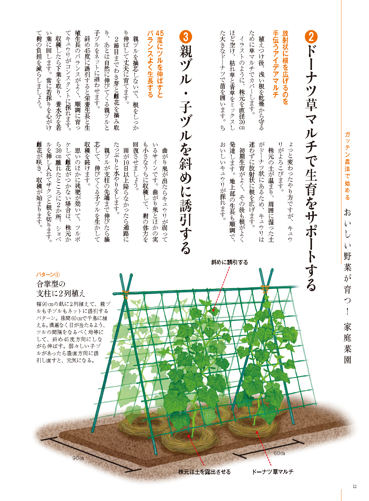 【書籍】野菜だより2025年5月初夏号(112505)