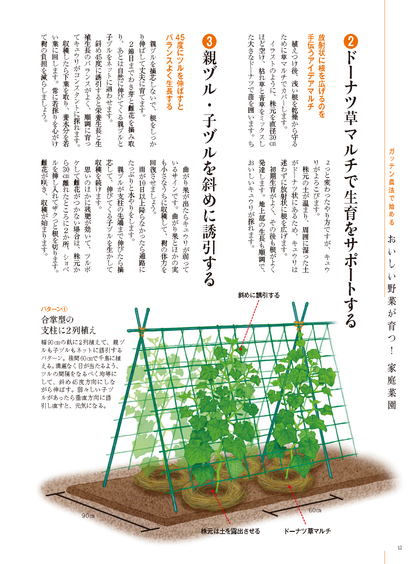 【書籍】野菜だより2025年5月初夏号(112505)