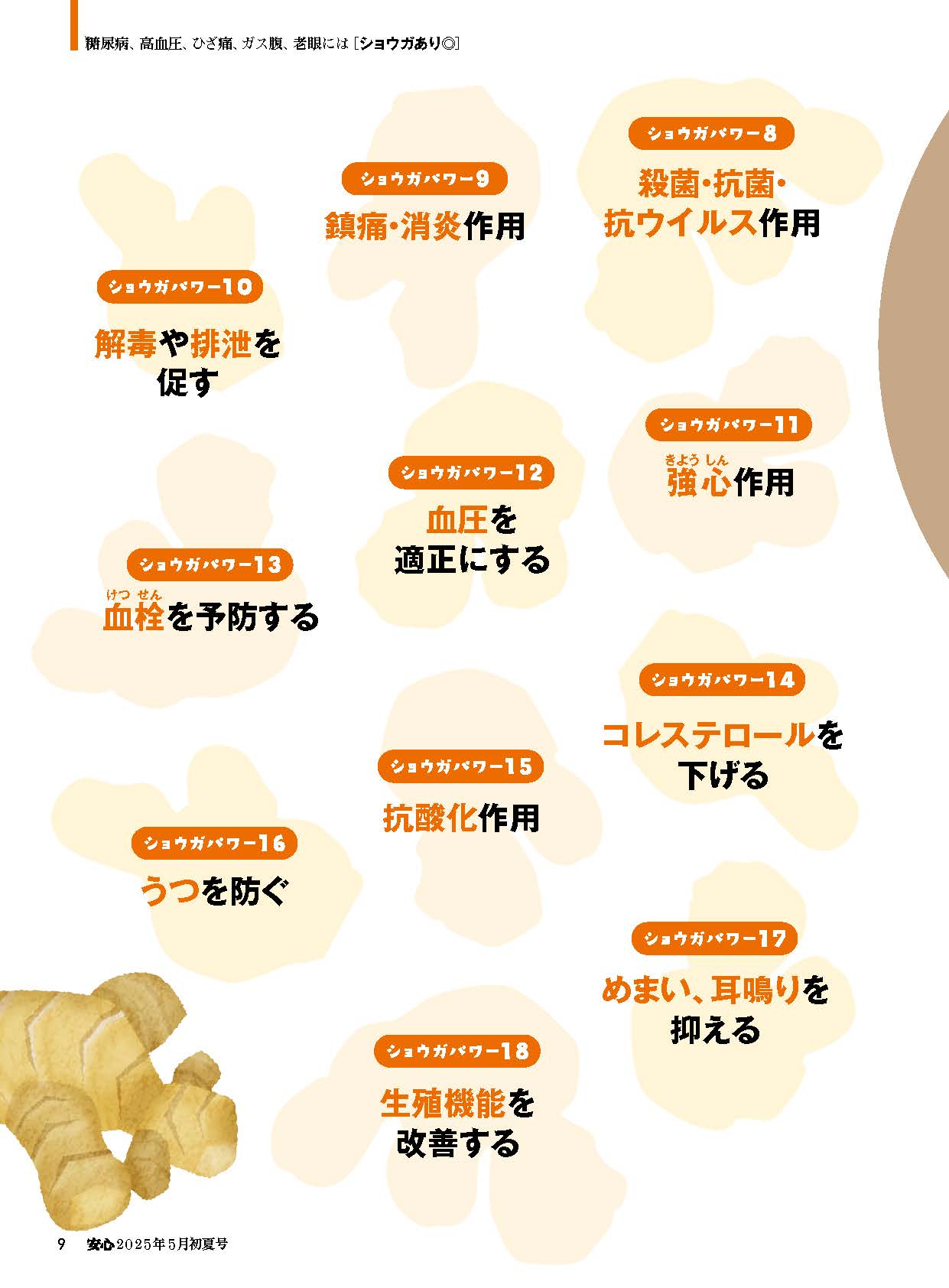 【書籍】安心2025年5月初夏号(152505)
