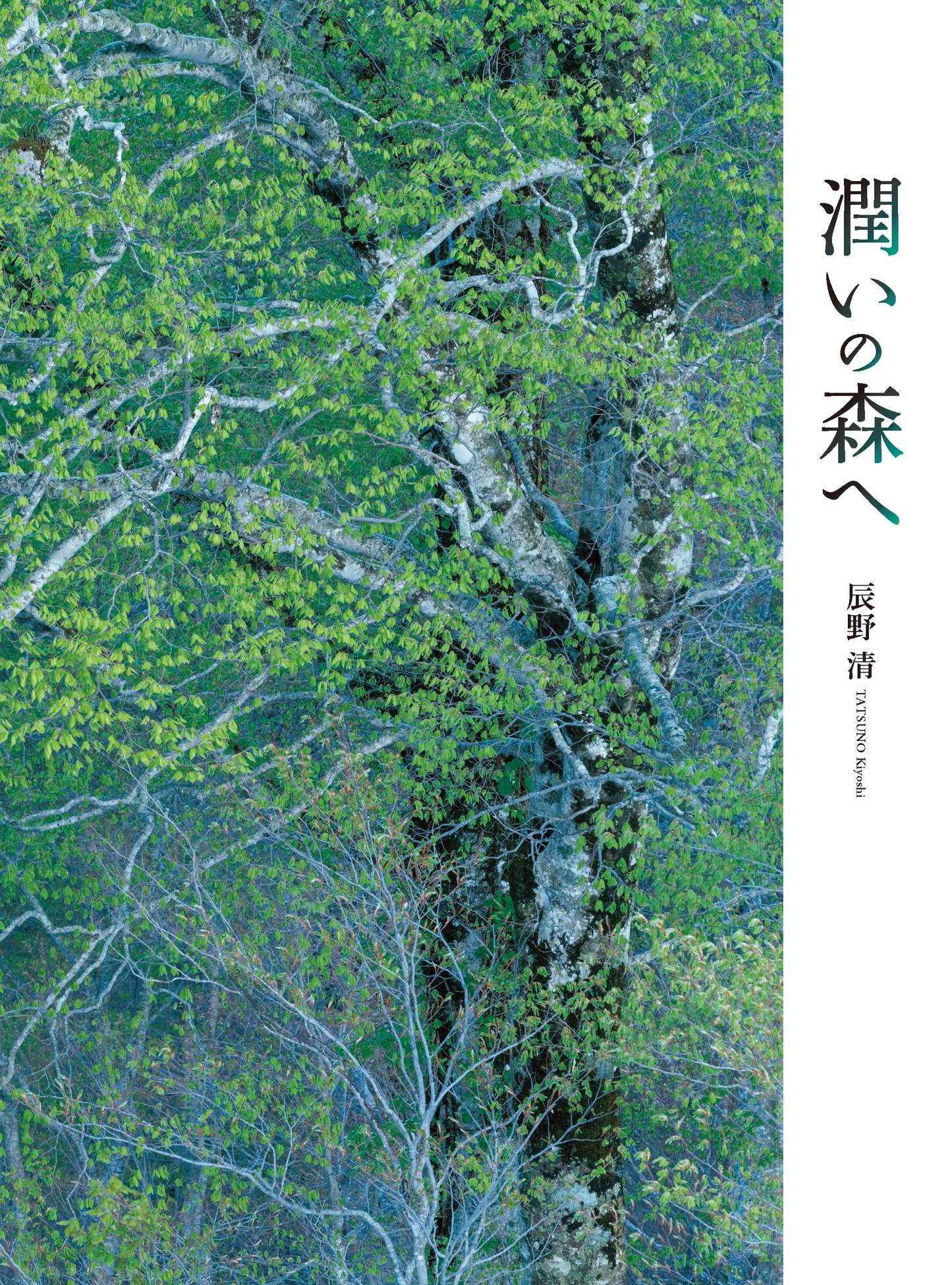 【電子版】風景写真2025年5・6月号(642505)