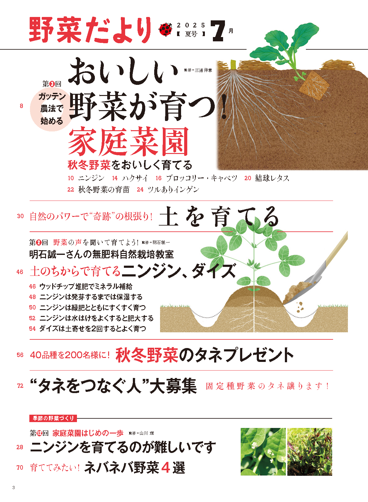 【書籍】野菜だより2025年7月夏号(112507)
