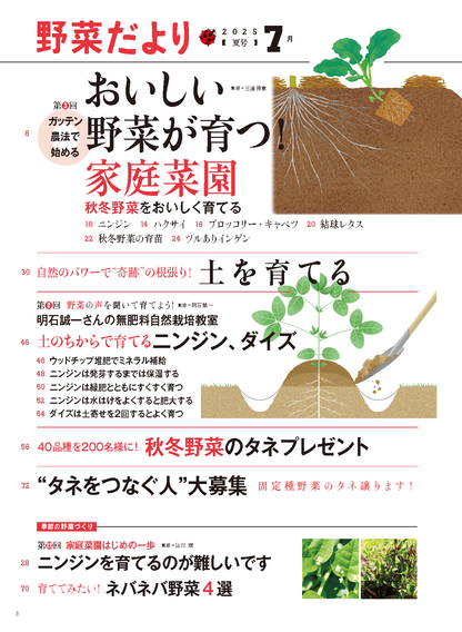 【書籍】野菜だより2025年7月夏号(112507)