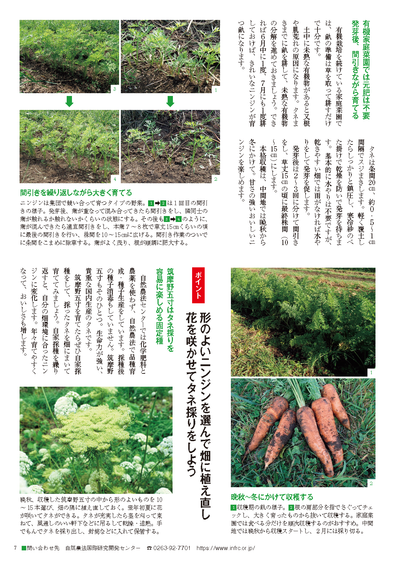 【書籍】野菜だより2025年7月夏号(112507)
