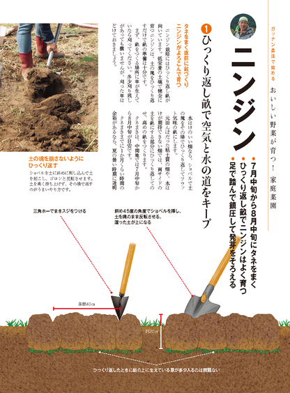 【書籍】野菜だより2025年7月夏号(112507)