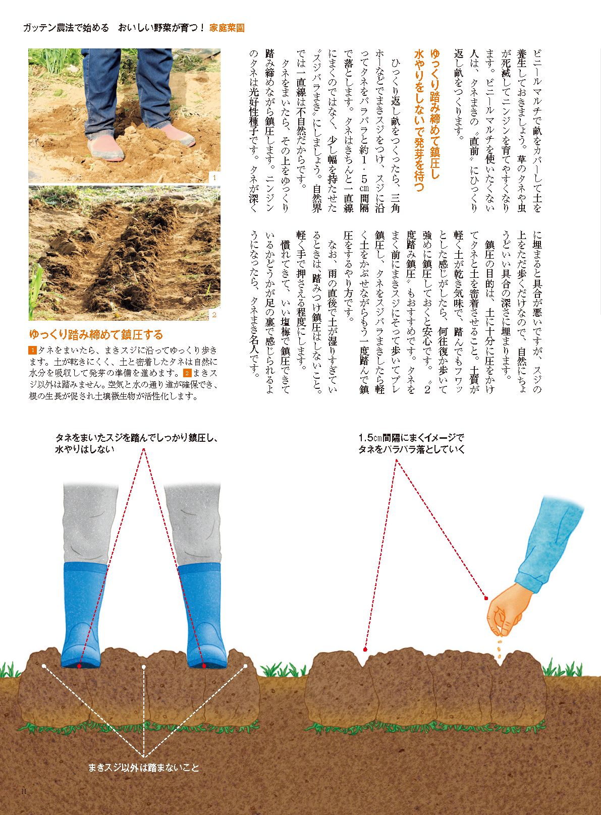 【書籍】野菜だより2025年7月夏号(112507)