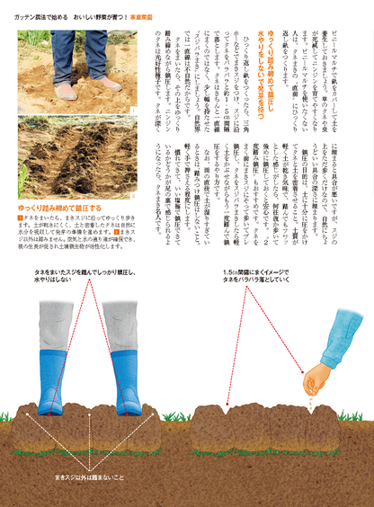 【書籍】野菜だより2025年7月夏号(112507)
