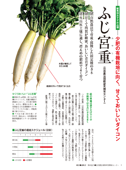 【書籍】野菜だより2025年9月秋号(112509)