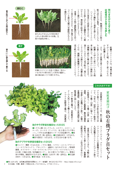 【書籍】野菜だより2025年9月秋号(112509)