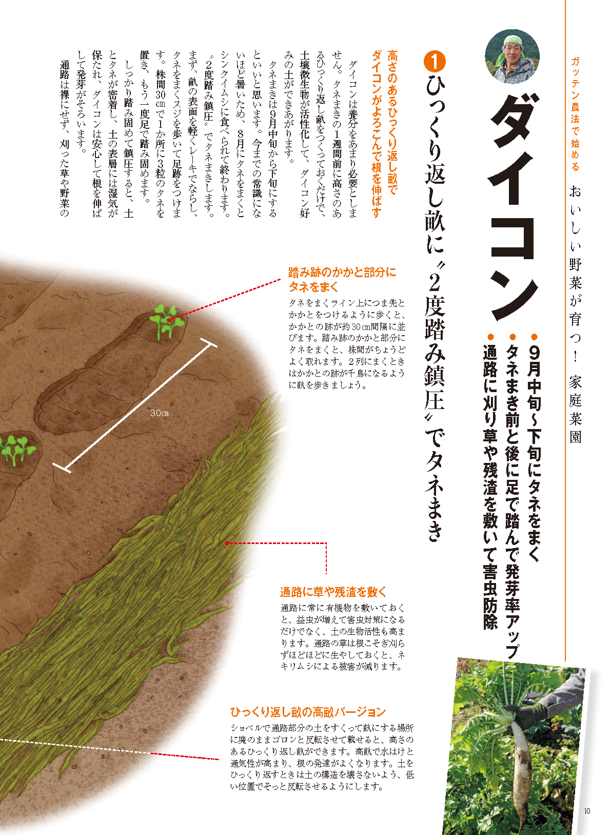 【書籍】野菜だより2025年9月秋号(112509)