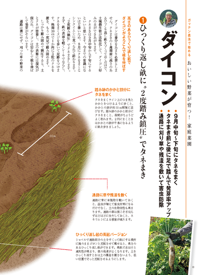 【書籍】野菜だより2025年9月秋号(112509)