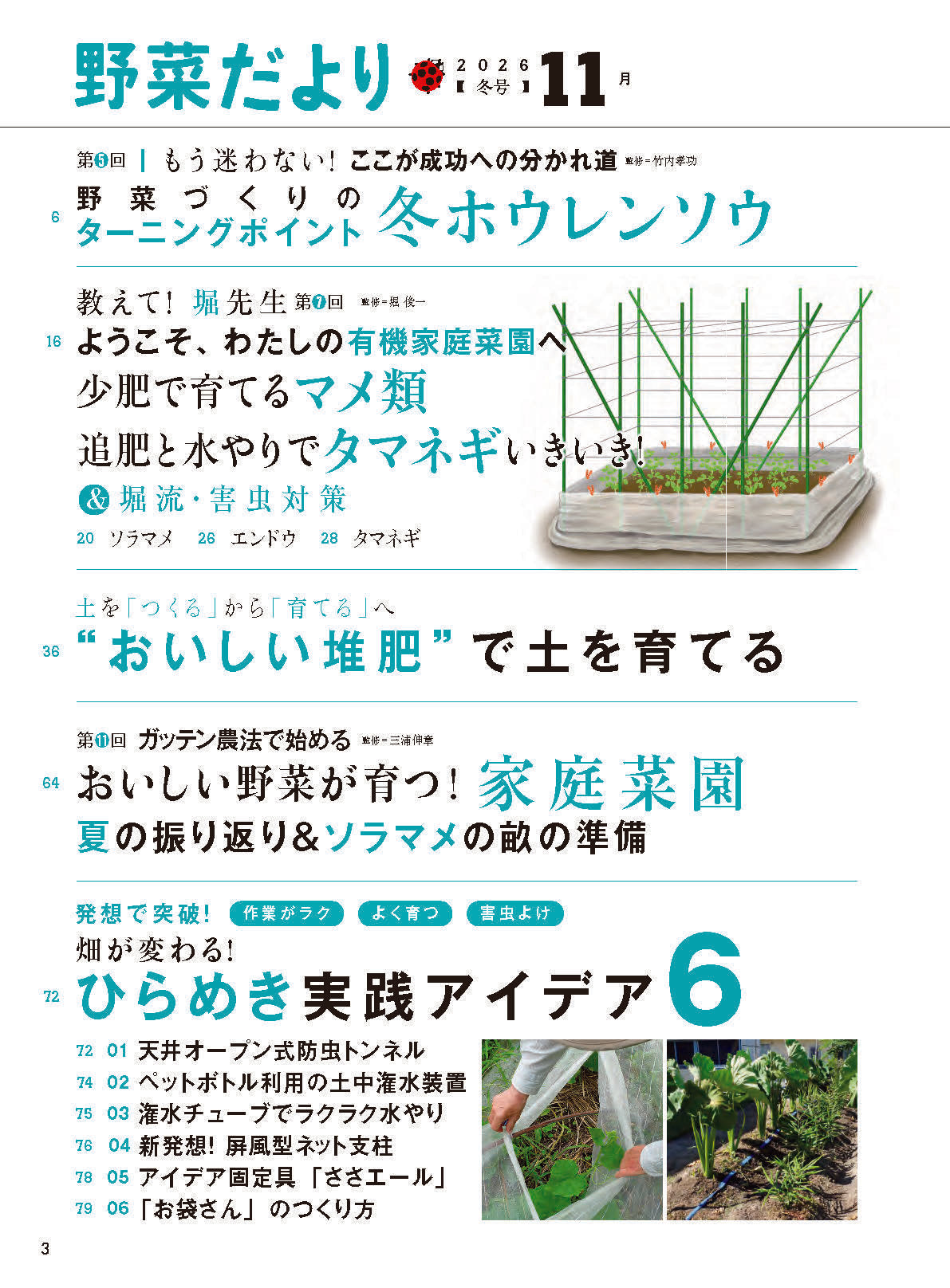 【書籍】野菜だより2026年11月冬号(112611)