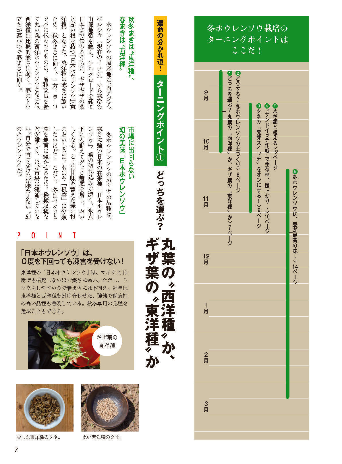 【書籍】野菜だより2026年11月冬号(112611)