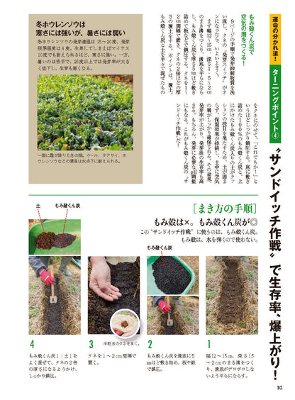 【書籍】野菜だより2026年11月冬号(112611)