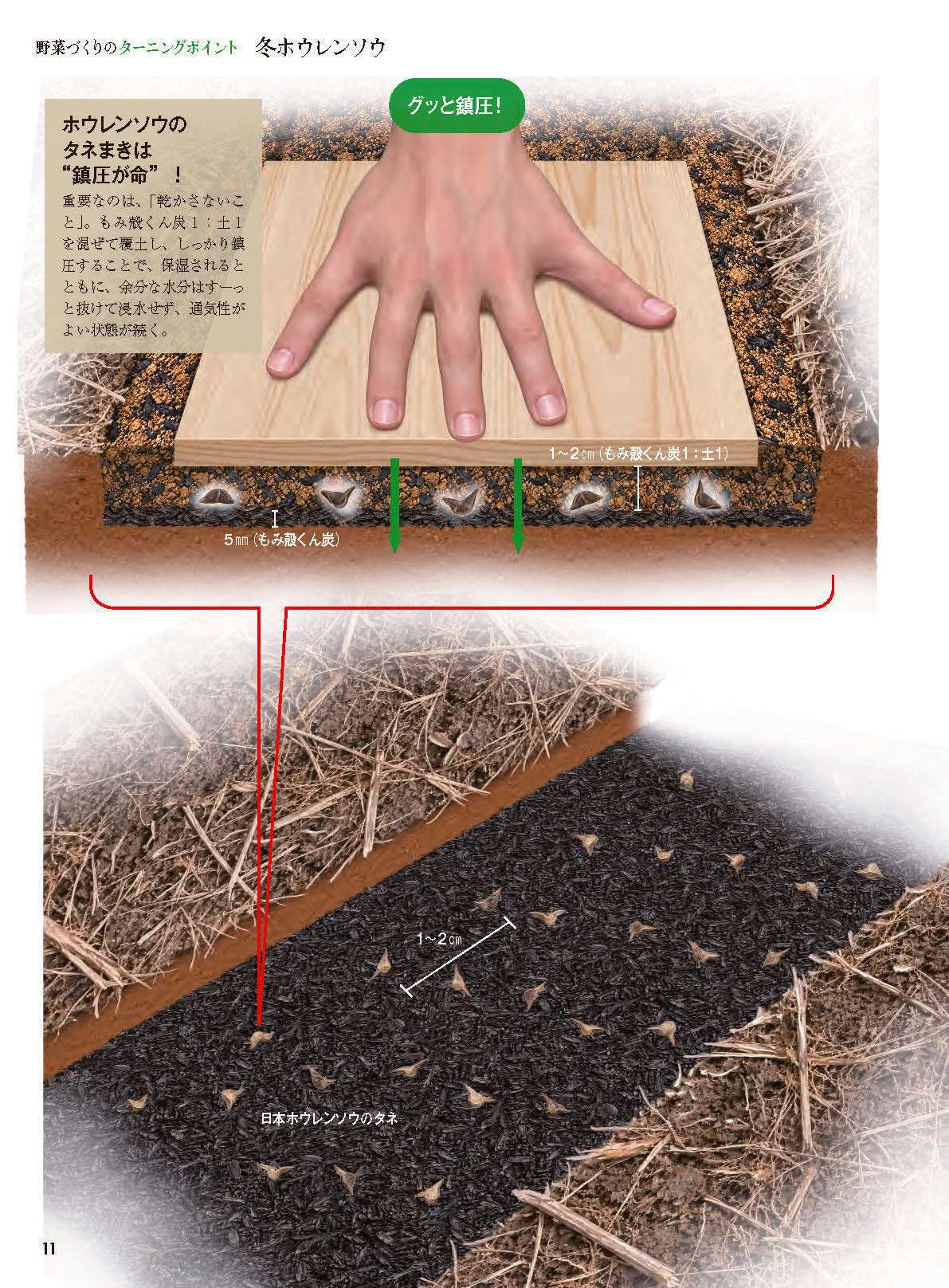 【書籍】野菜だより2026年11月冬号(112611)