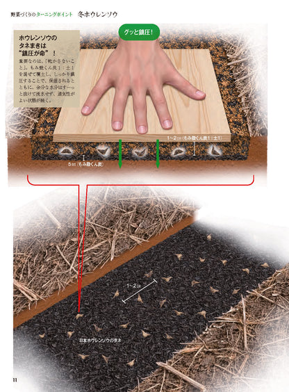 【書籍】野菜だより2026年11月冬号(112611)