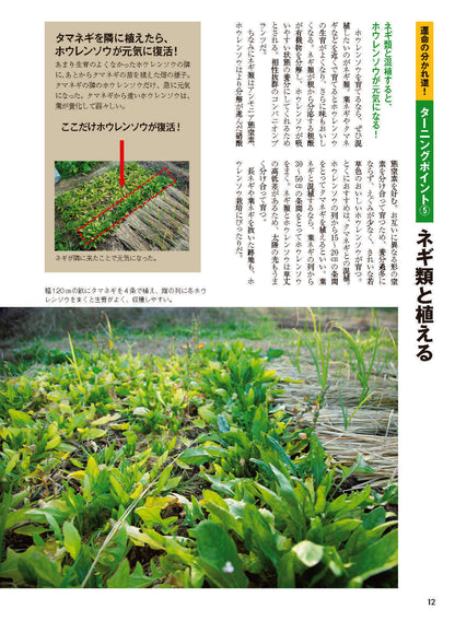 【書籍】野菜だより2026年11月冬号(112611)