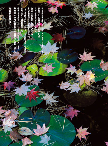 【電子版】風景写真2026年11・12月号(642611)