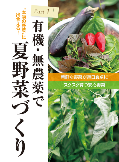 【書籍】夏野菜づくり超基本とコツのコツ2026年版（野菜だより2026年4月号増刊）(122604)