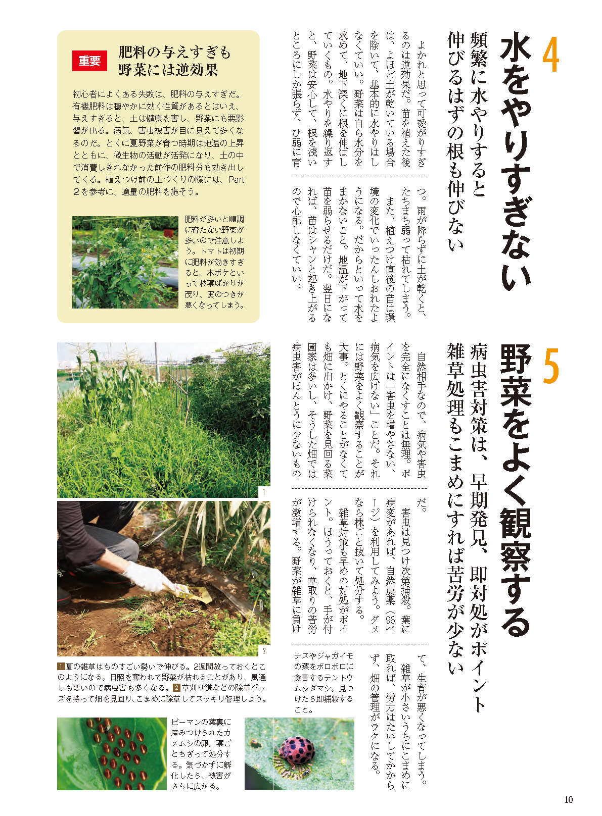 【書籍】夏野菜づくり超基本とコツのコツ2026年版（野菜だより2026年4月号増刊）(122604)