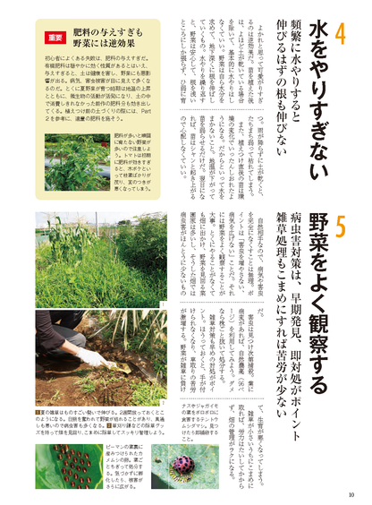 【書籍】夏野菜づくり超基本とコツのコツ2026年版（野菜だより2026年4月号増刊）(122604)
