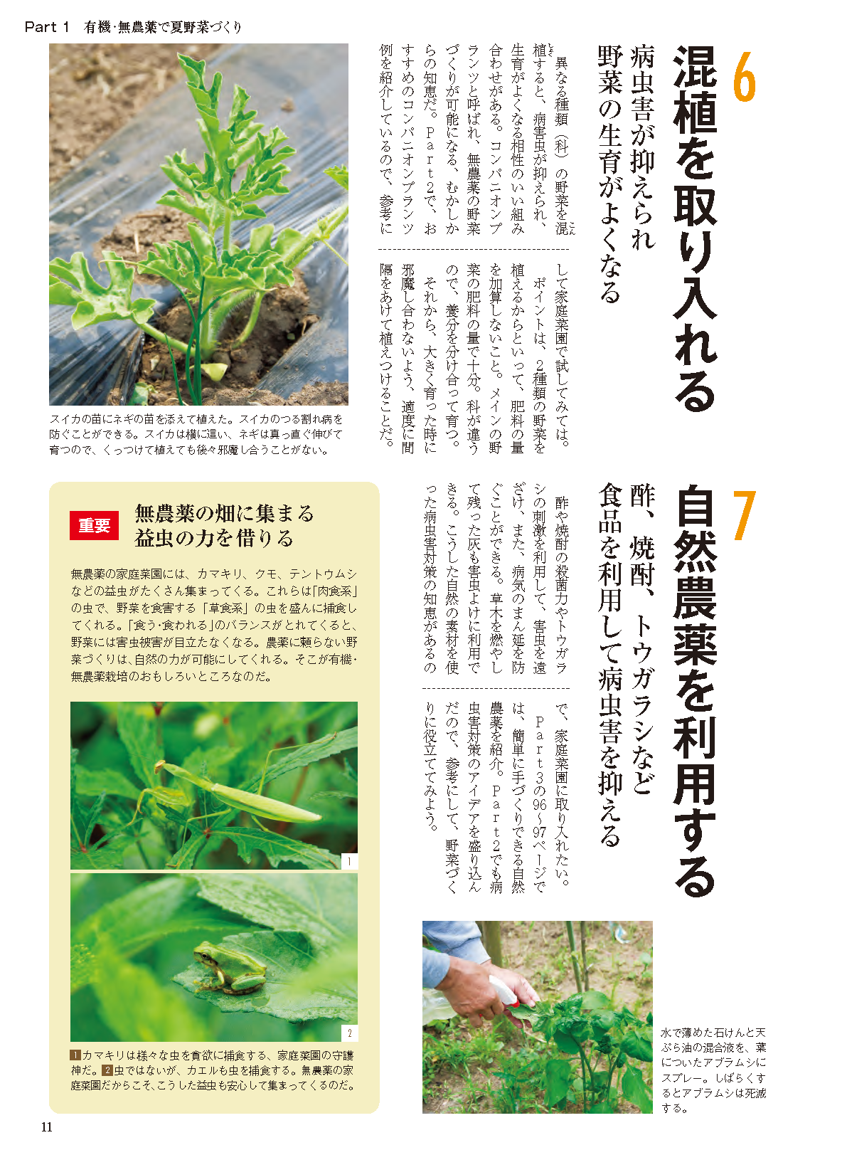 【書籍】夏野菜づくり超基本とコツのコツ2026年版（野菜だより2026年4月号増刊）(122604)