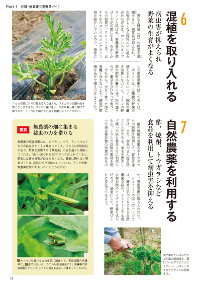 【書籍】夏野菜づくり超基本とコツのコツ2026年版（野菜だより2026年4月号増刊）(122604)