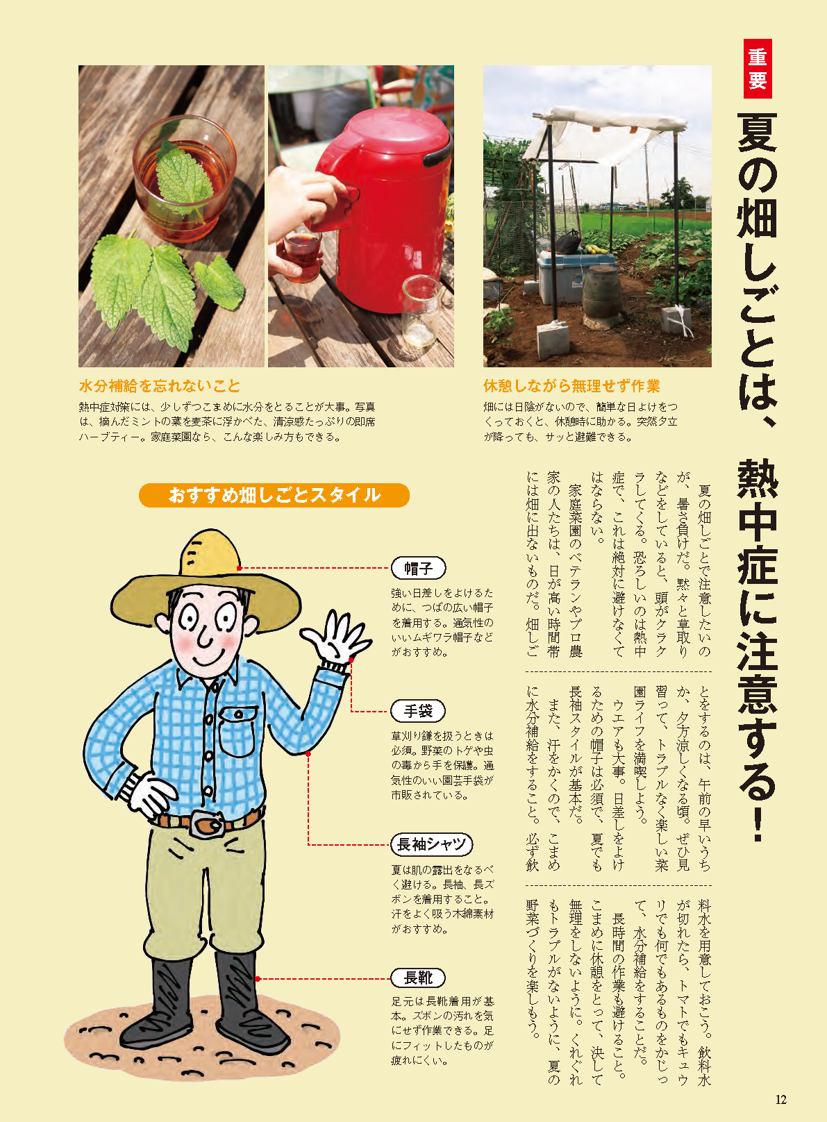 【書籍】夏野菜づくり超基本とコツのコツ2026年版（野菜だより2026年4月号増刊）(122604)
