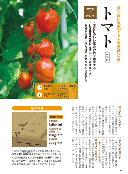 【書籍】夏野菜づくり超基本とコツのコツ2026年版（野菜だより2026年4月号増刊）(122604)
