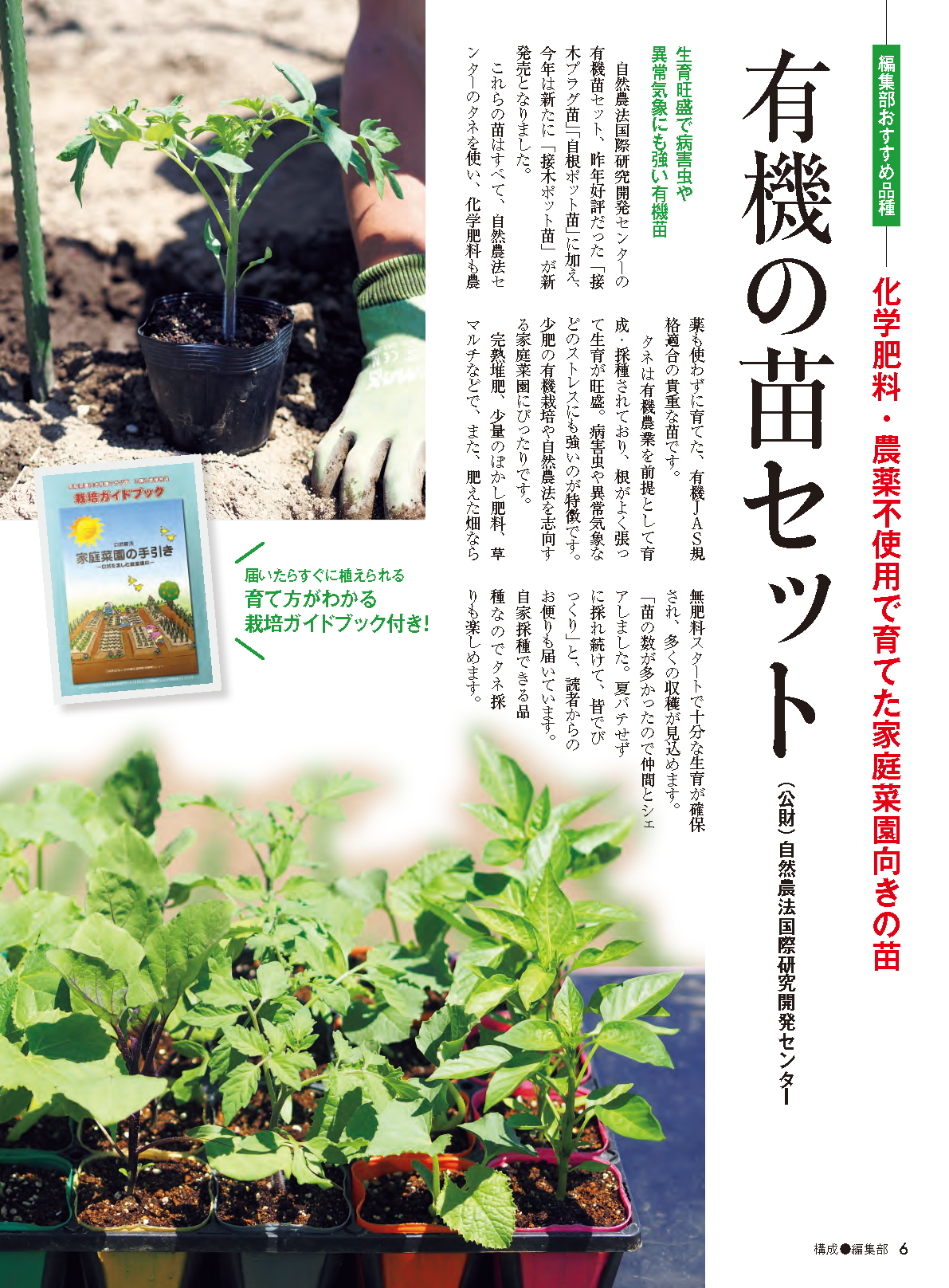 【書籍】野菜だより2026年3月春号(112603)