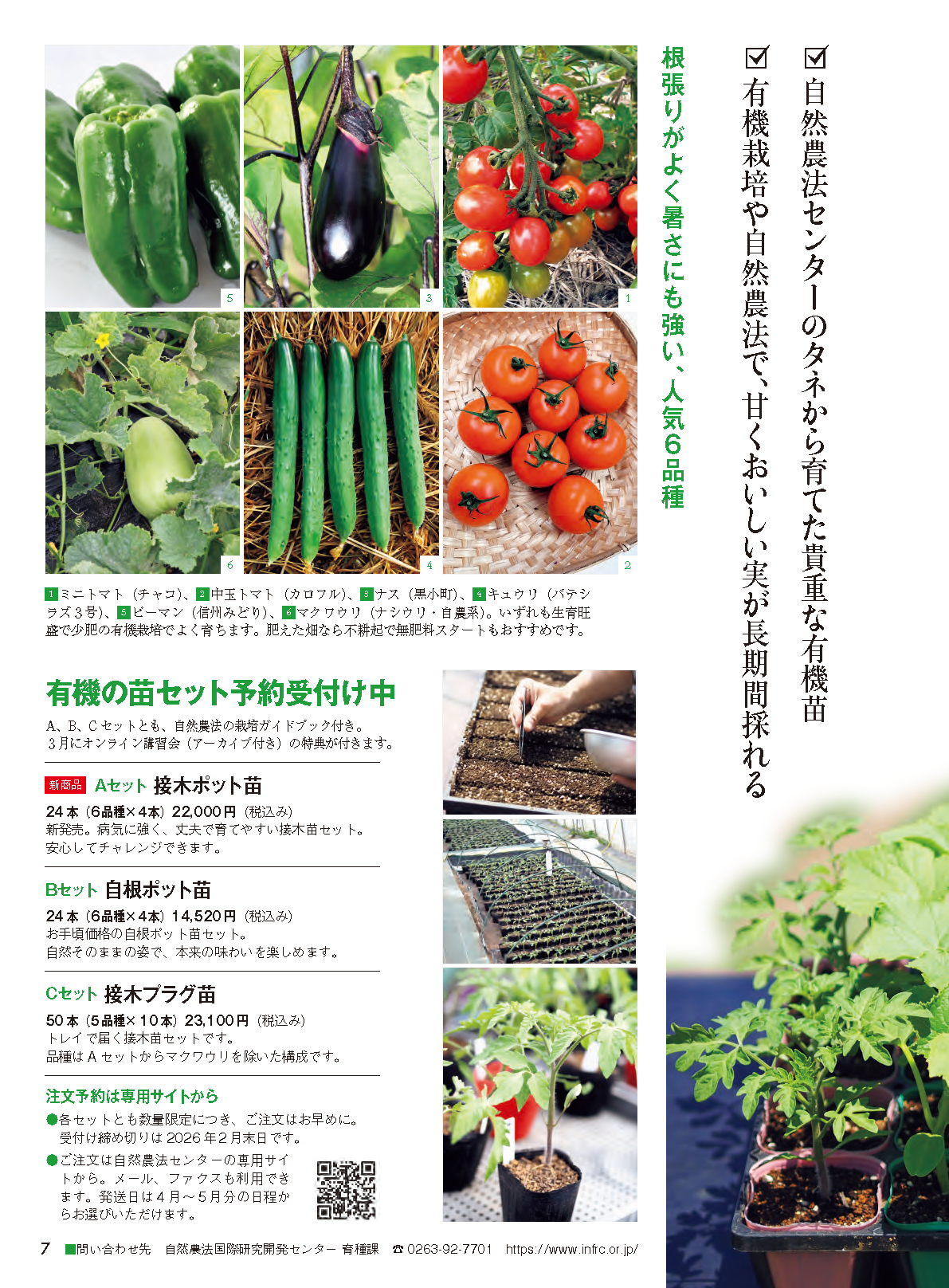 【書籍】野菜だより2026年3月春号(112603)