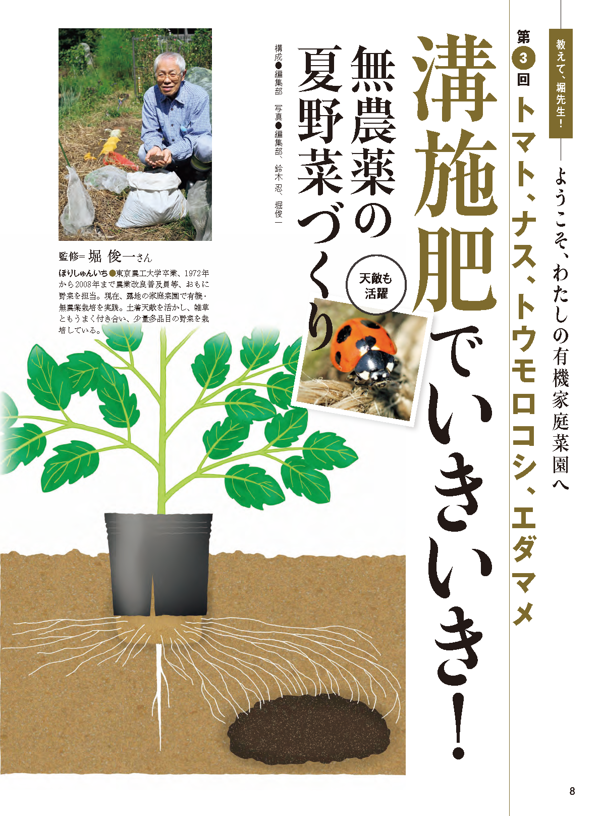 【書籍】野菜だより2026年3月春号(112603)