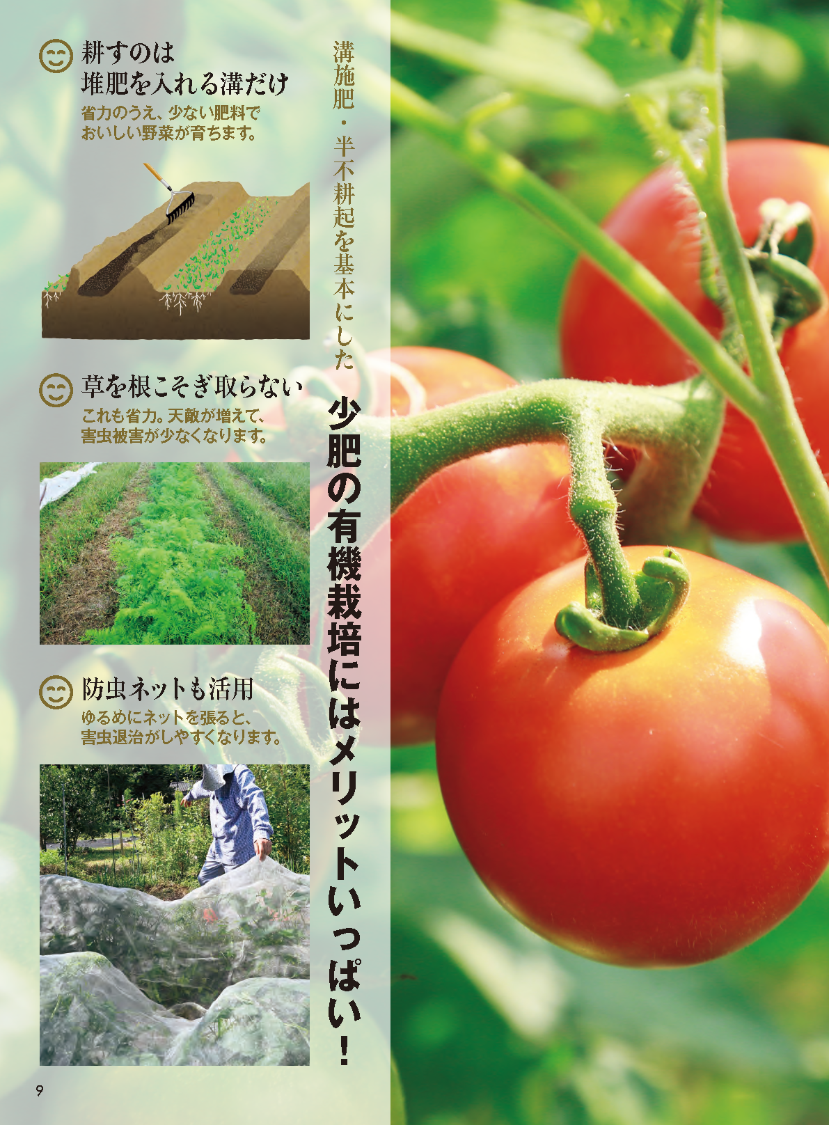 【書籍】野菜だより2026年3月春号(112603)