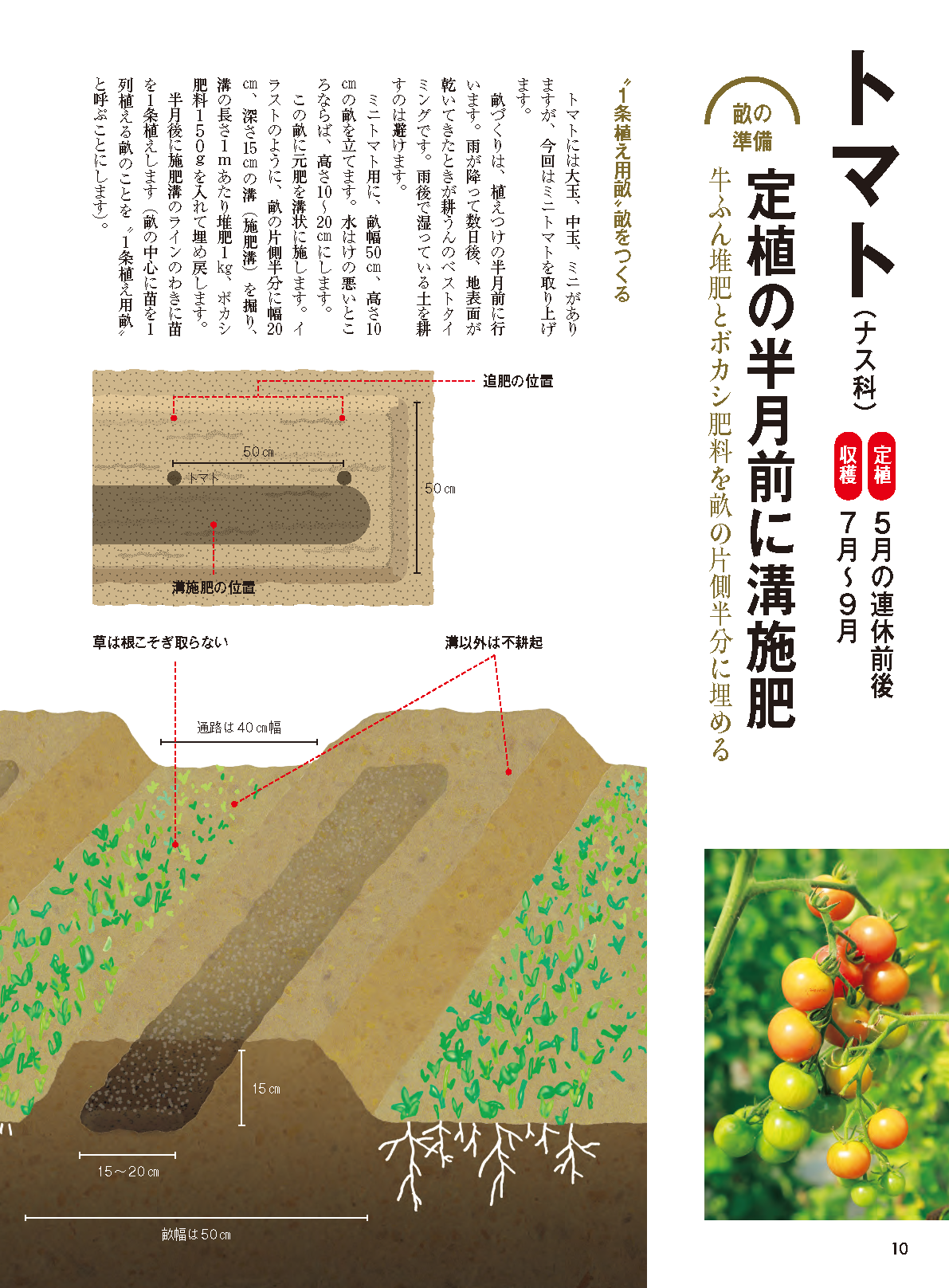 【書籍】野菜だより2026年3月春号(112603)