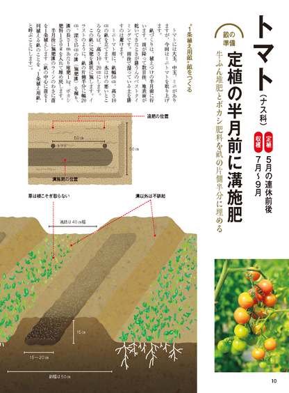 【書籍】野菜だより2026年3月春号(112603)