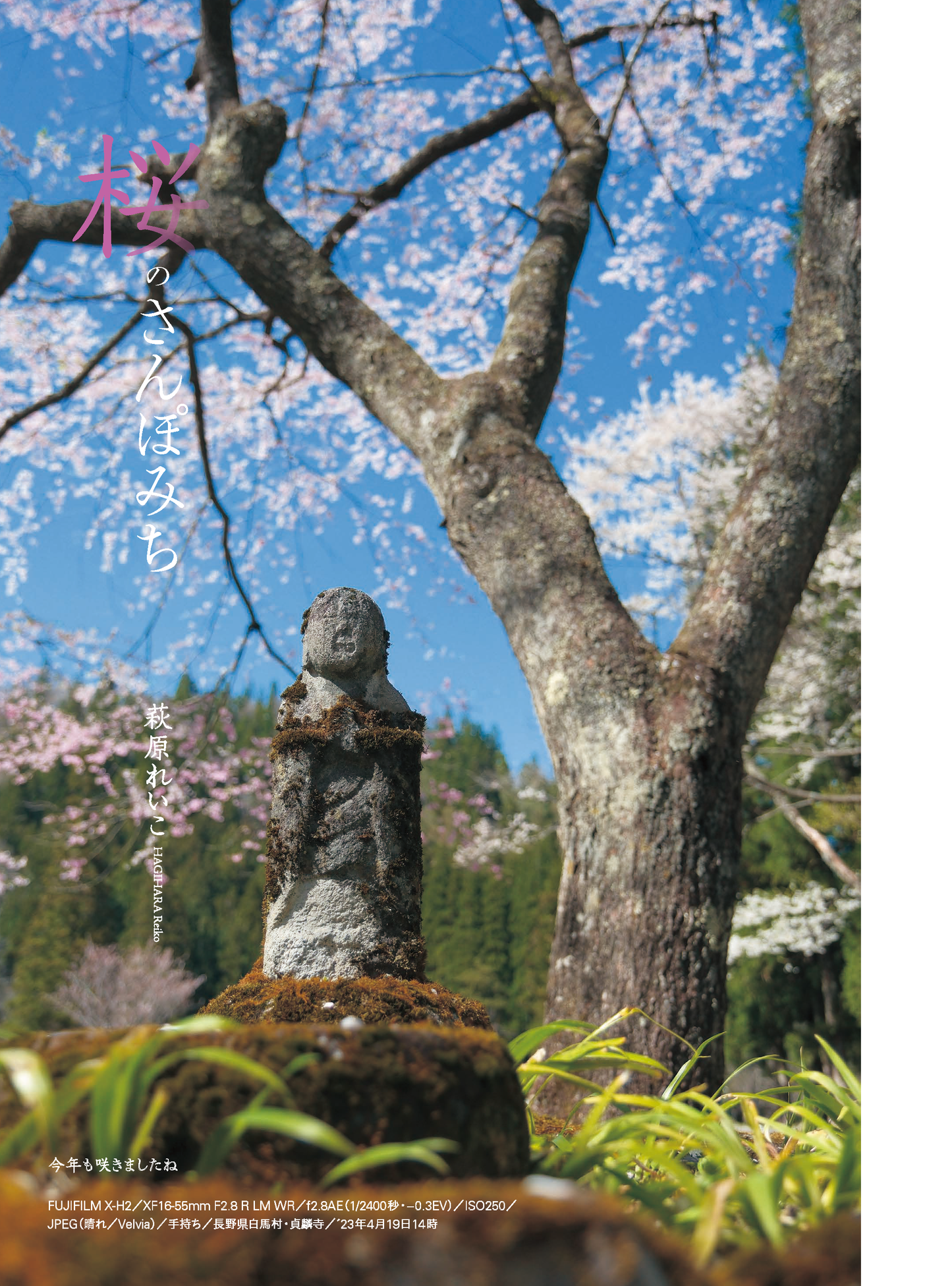 【電子版】風景写真2026年3・4月号(642603)