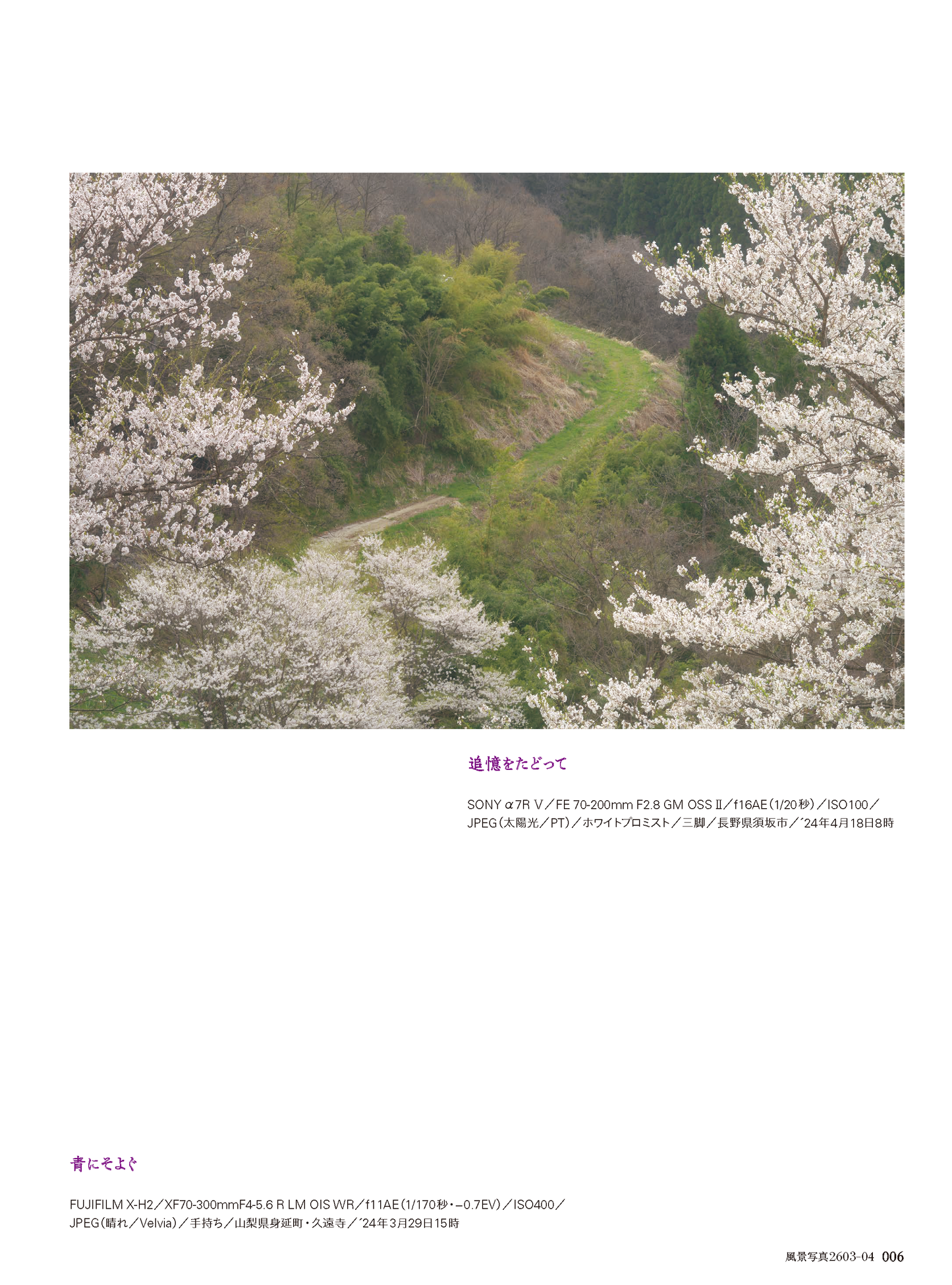 【電子版】風景写真2026年3・4月号(642603)