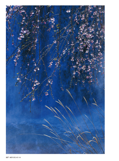 【電子版】風景写真2026年3・4月号(642603)