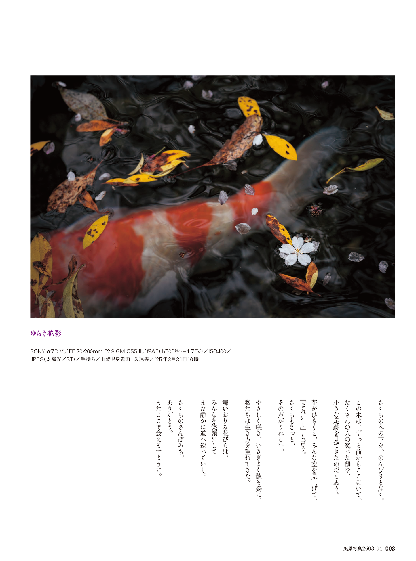 【電子版】風景写真2026年3・4月号(642603)