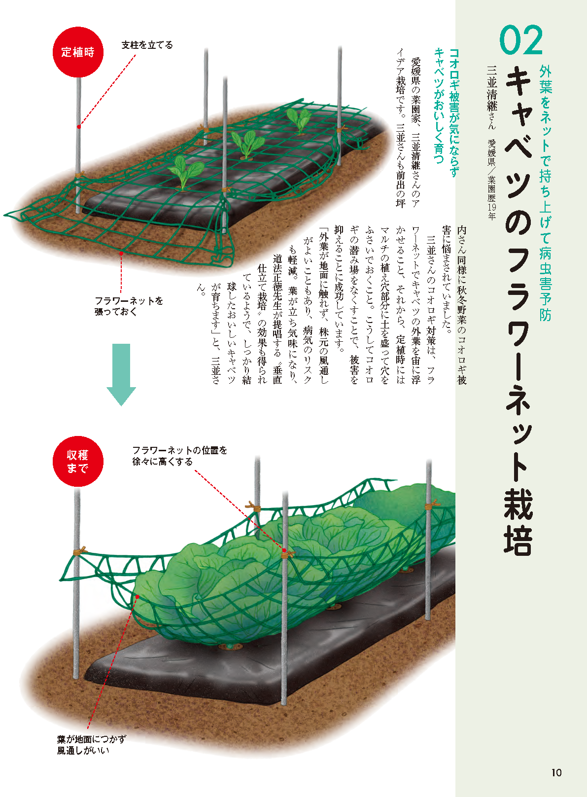 【書籍】野菜だより2026年7月夏号(112607)