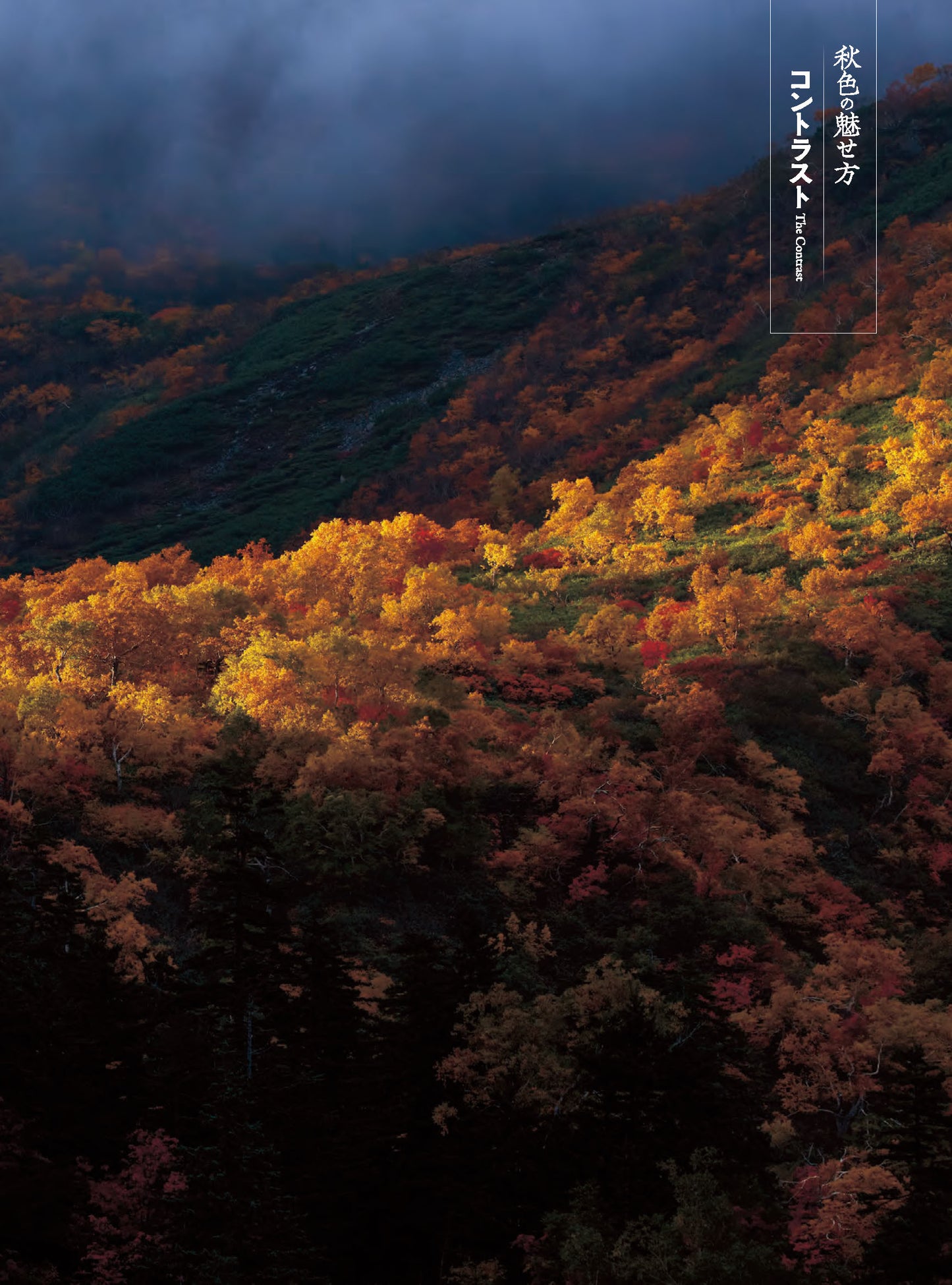【電子版】風景写真2026年9・10月号(642609)