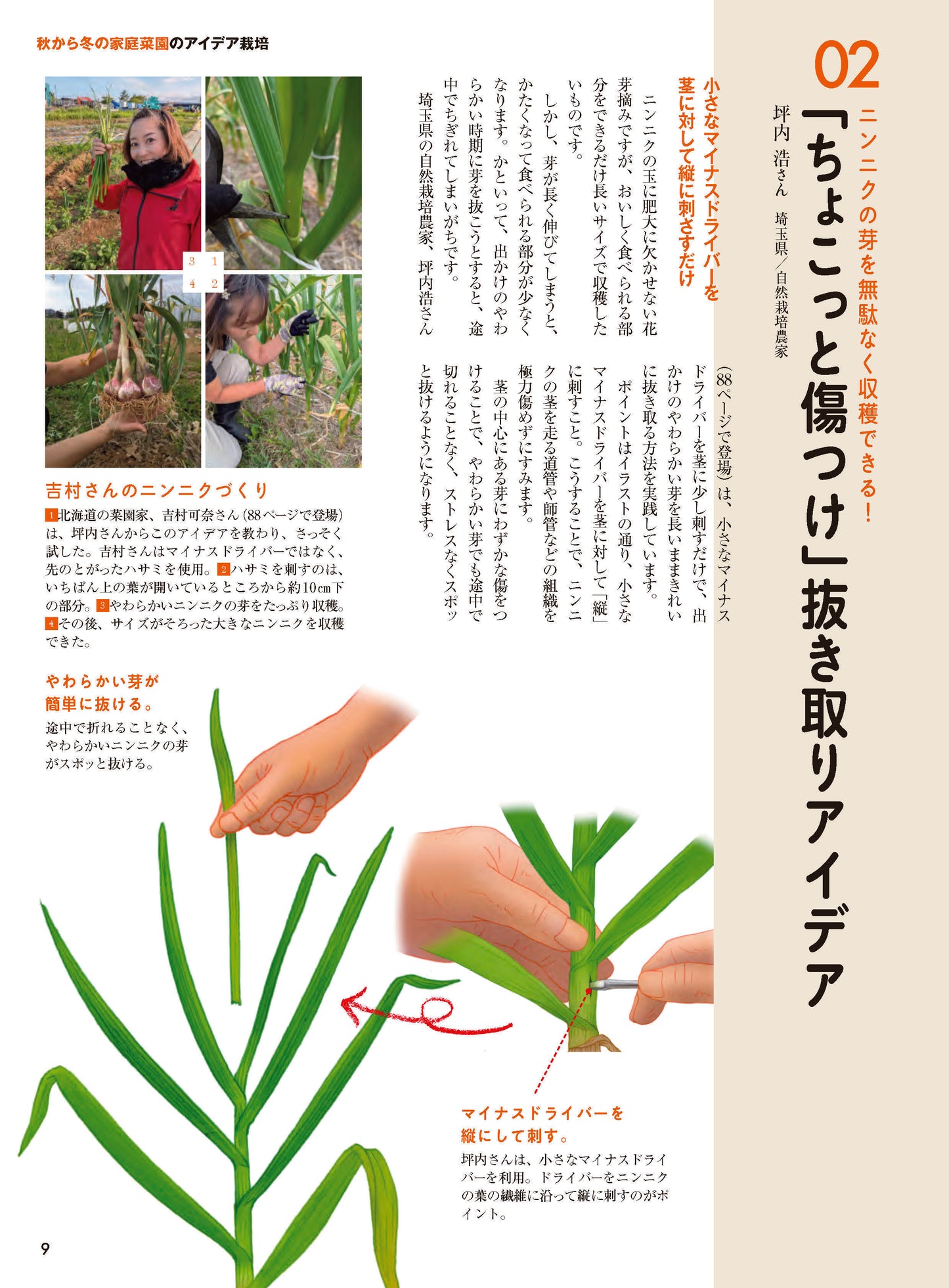 【書籍】野菜だより2026年9月秋号(112609)
