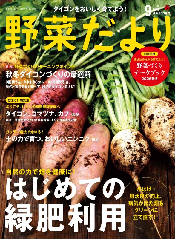 【書籍】野菜だより2026年9月秋号(112609)