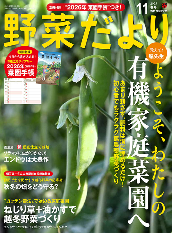 【書籍】野菜だより2025年11月冬号(112511)