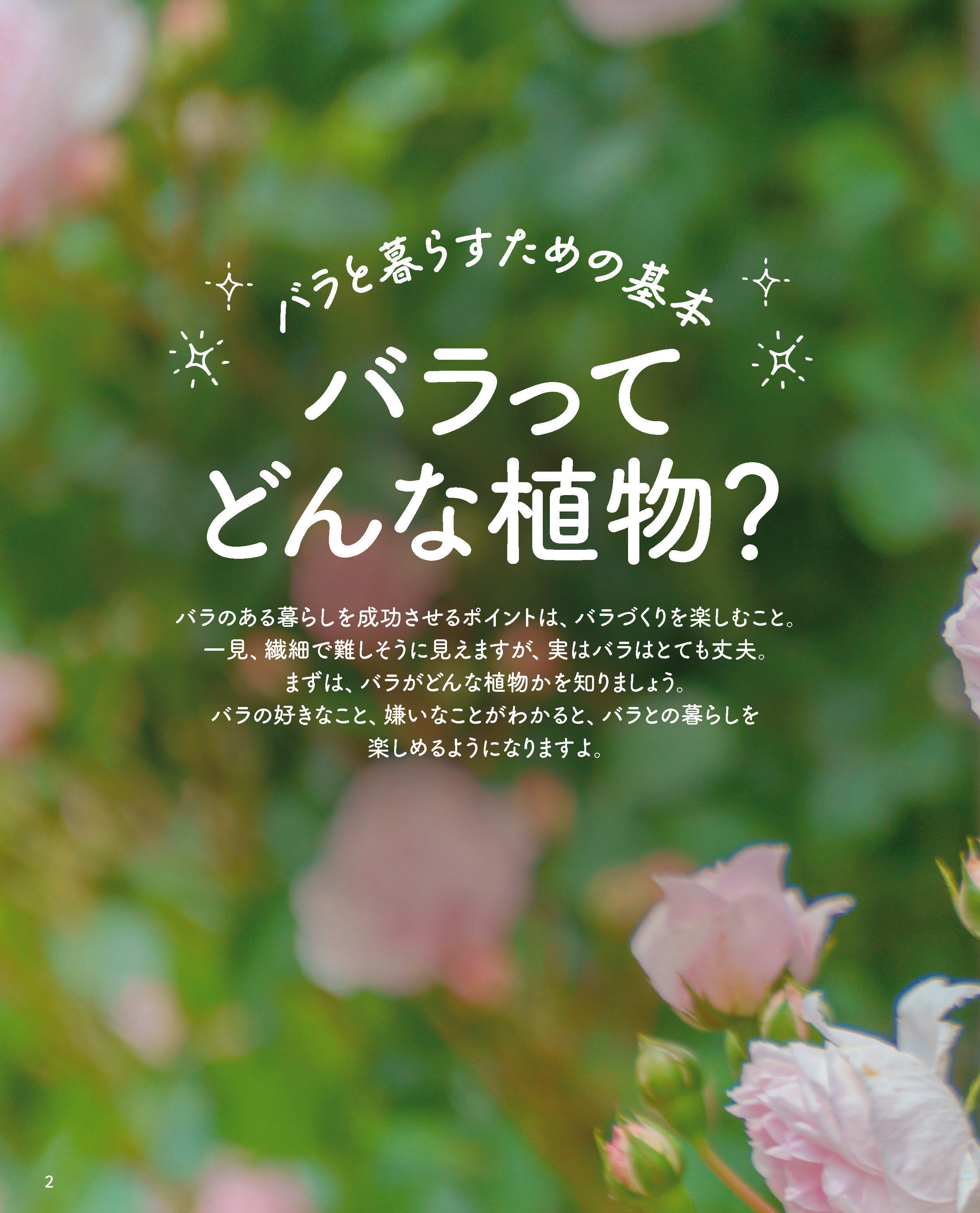 バラと暮らす365日｜小山内健監修・初心者向け栽培・月別お手入れ