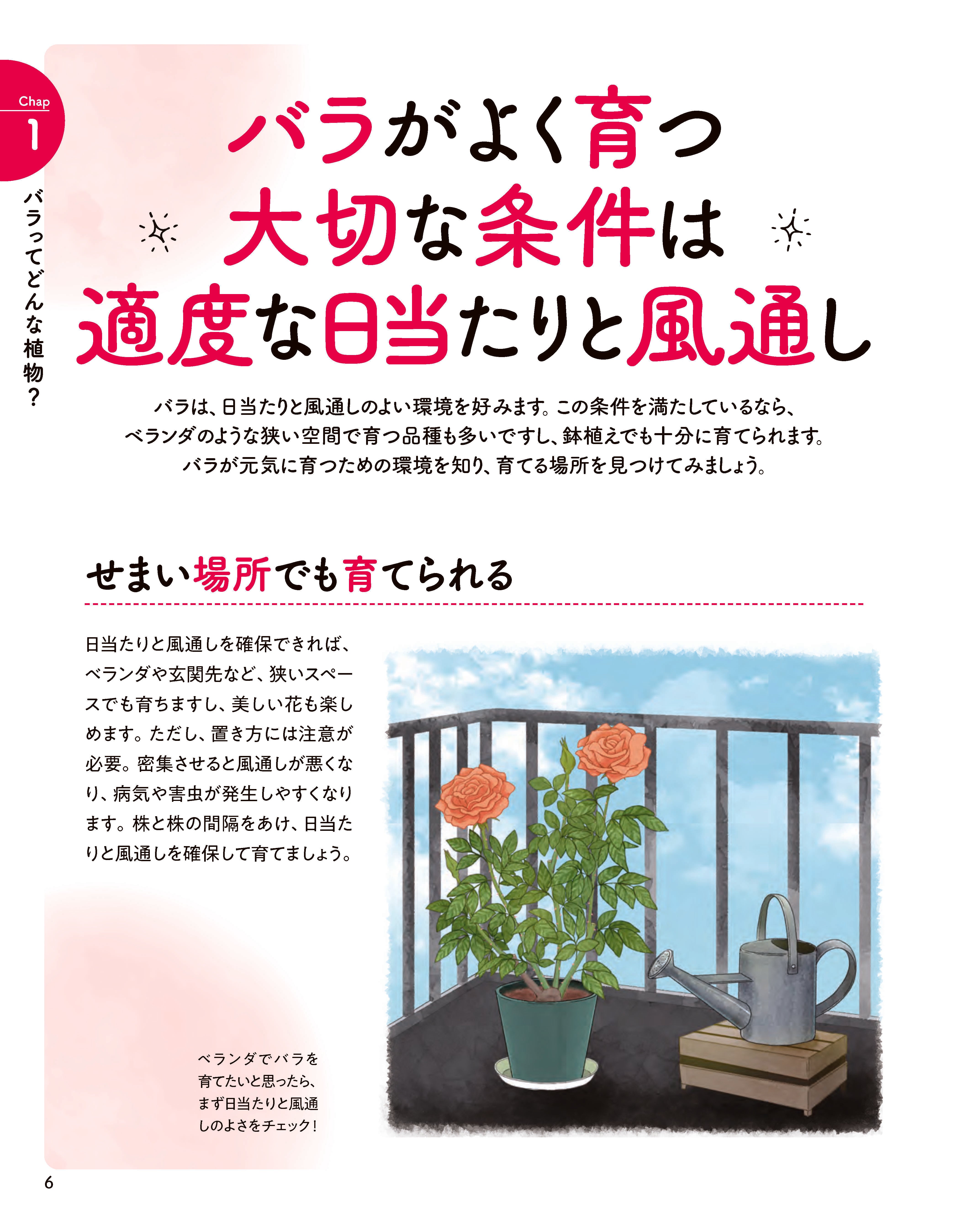 バラと暮らす365日｜小山内健監修・初心者向け栽培・月別お手入れ