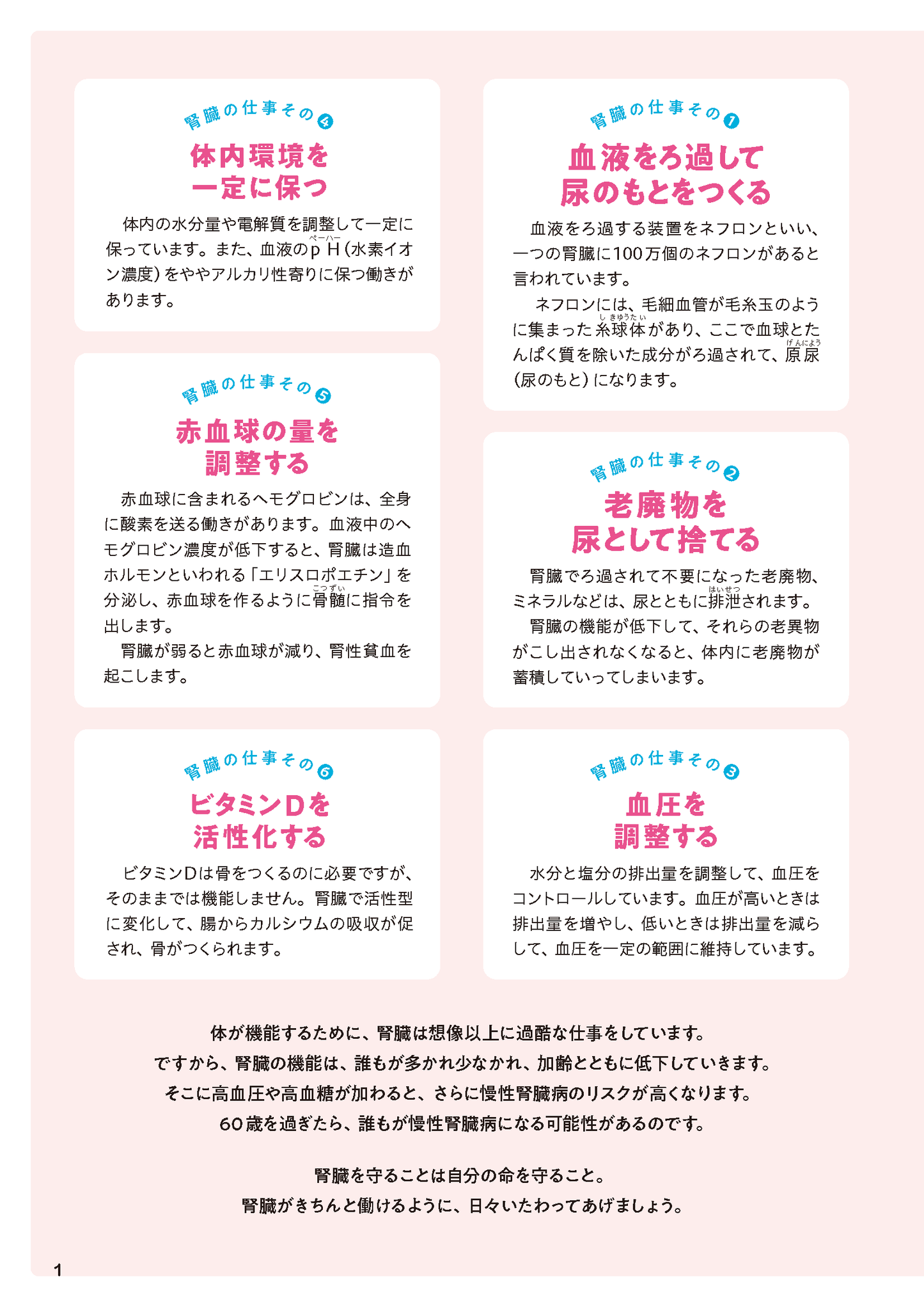 【書籍】腎機能 おいしく食べて自分で守る！レシピBOOK(M1783)